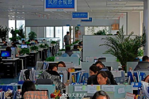 中企云鏈 以創(chuàng)新金融科技服務(wù)安心扎根，以信息技術(shù)咨詢服務(wù)舒心發(fā)展